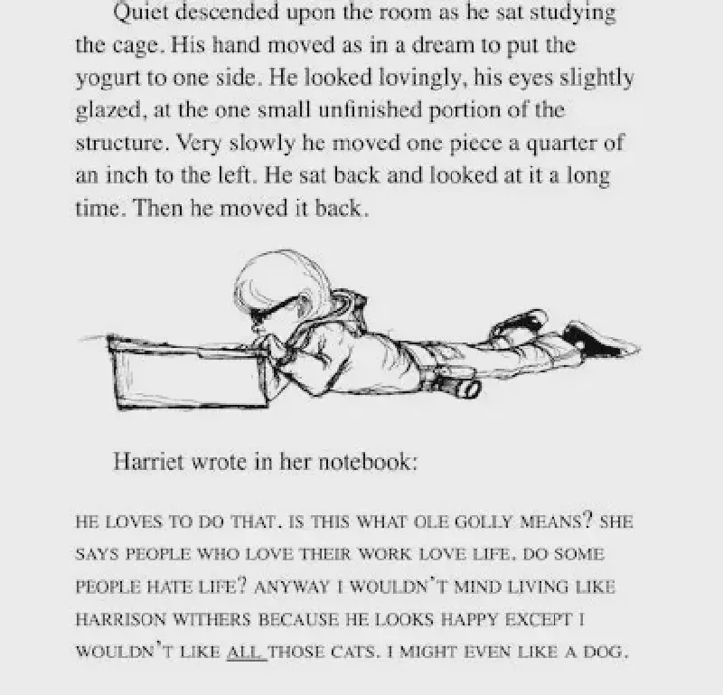 Harriet wrote in her notebook